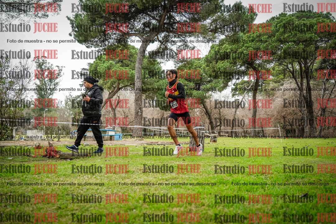 Fotos en el circuito
