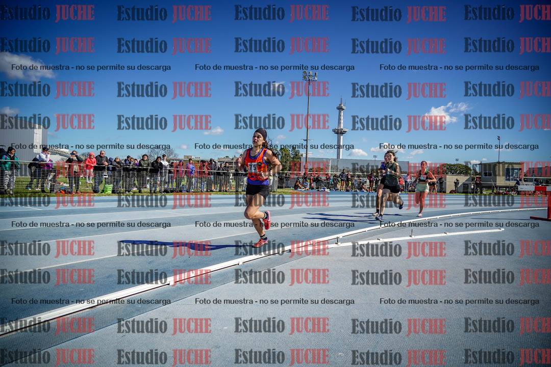 Fotos de los 800 m llanos de mujeres