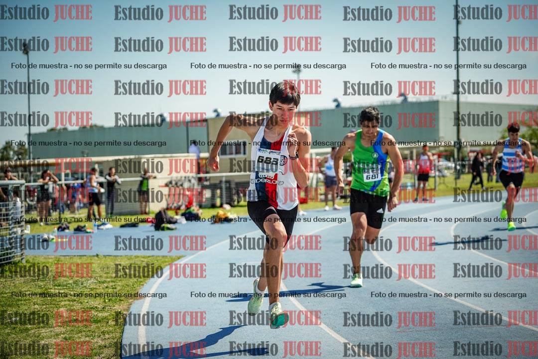 Fotos de los 800 m llanos de varones