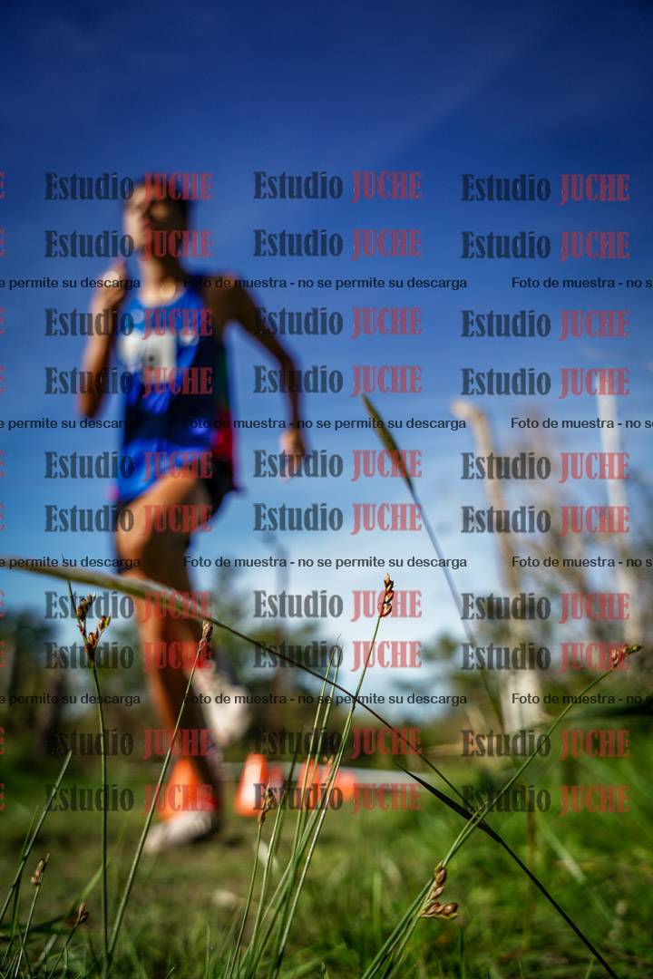 Fotos en el circuito