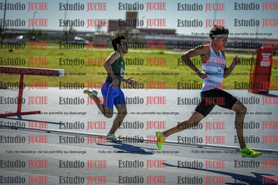 Fotos de los 800 m llanos de varones