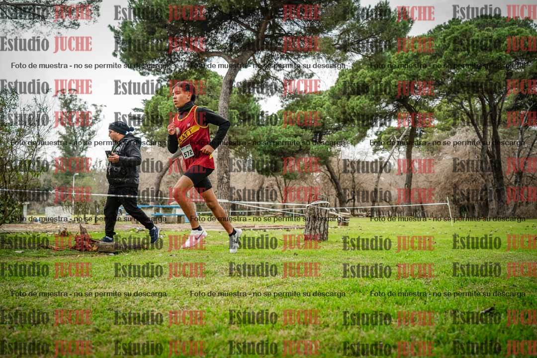 Fotos en el circuito