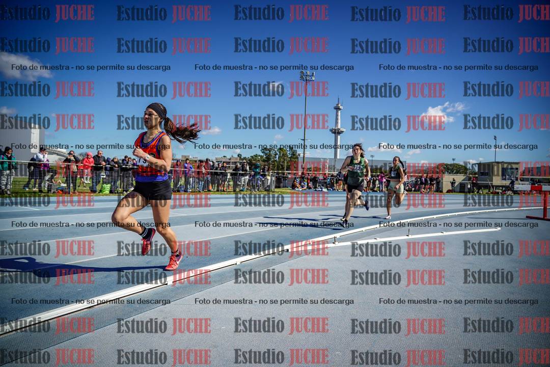 Fotos de los 800 m llanos de mujeres