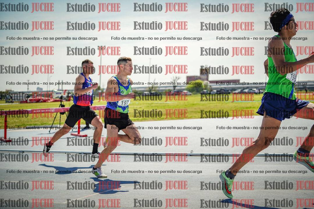 Fotos de los 800 m llanos de varones