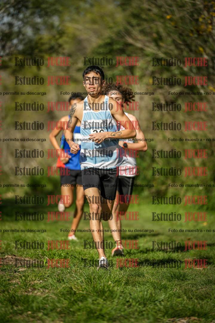 Fotos en el circuito