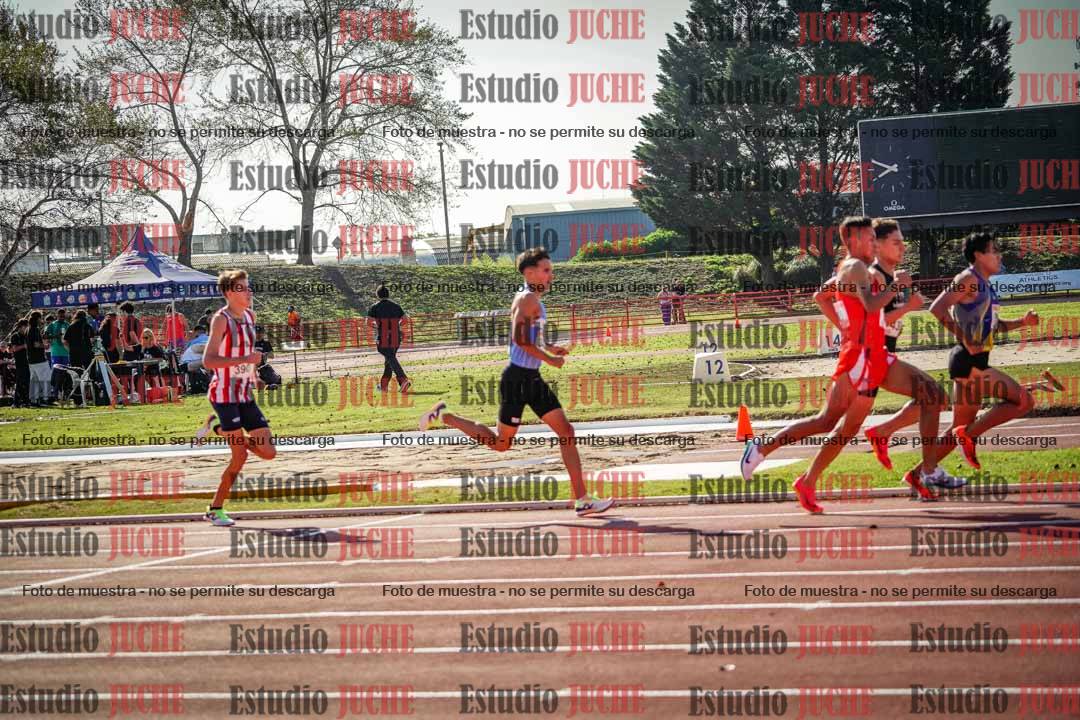Fotos de los 1500 m llanos de varones