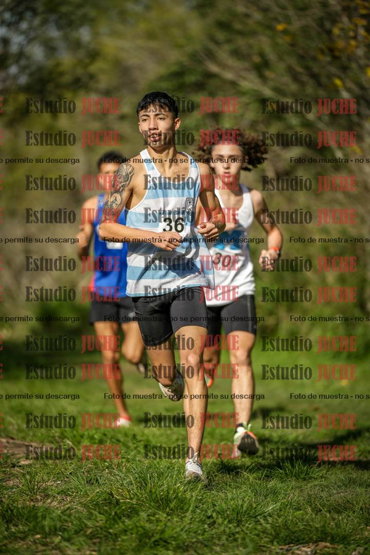 Fotos en el circuito