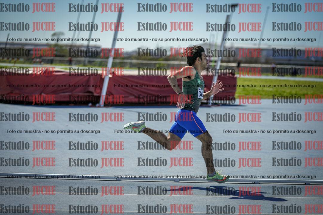 Fotos de los 800 m llanos de varones