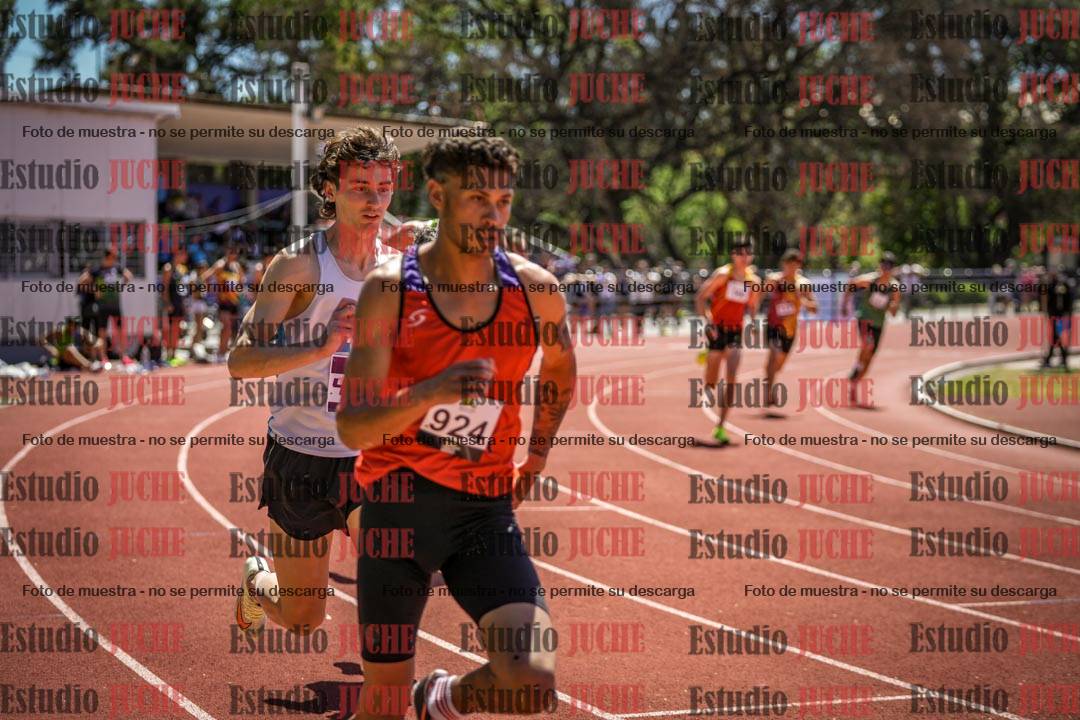 Fotos de los 800 m llanos de varones