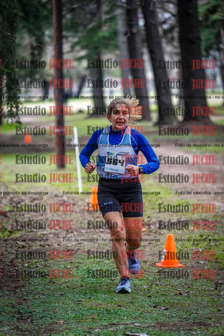 Fotos en el circuito