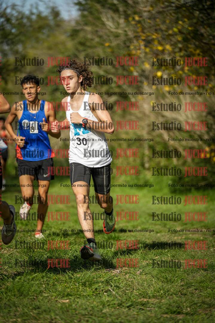 Fotos en el circuito