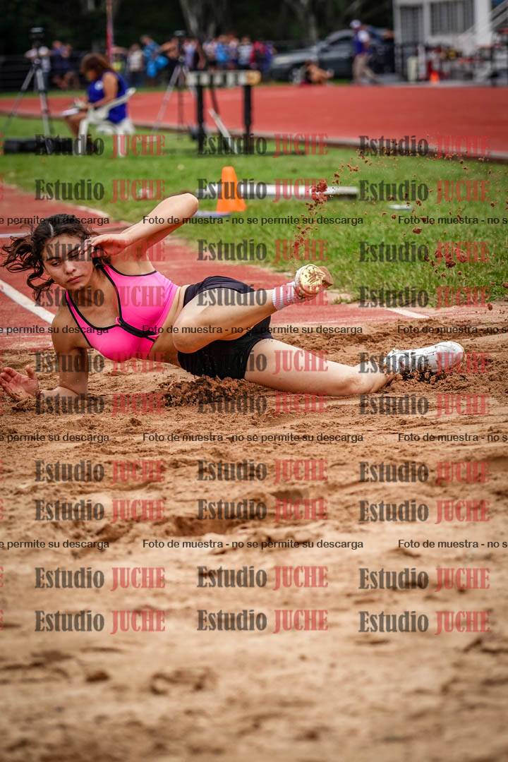 Fotos del salto triple - tabla de 8 y 10