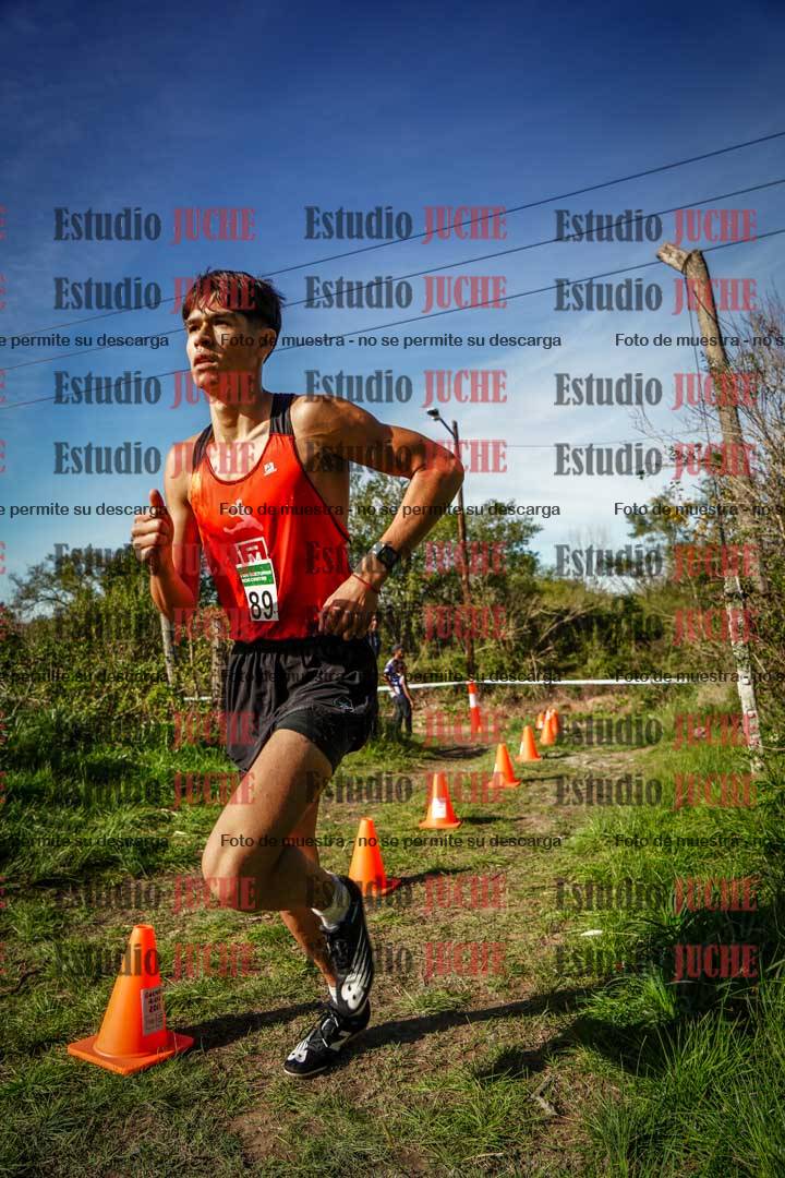 Fotos en el circuito