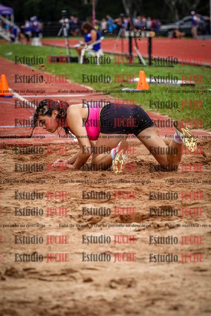 Fotos del salto triple - tabla de 8 y 10