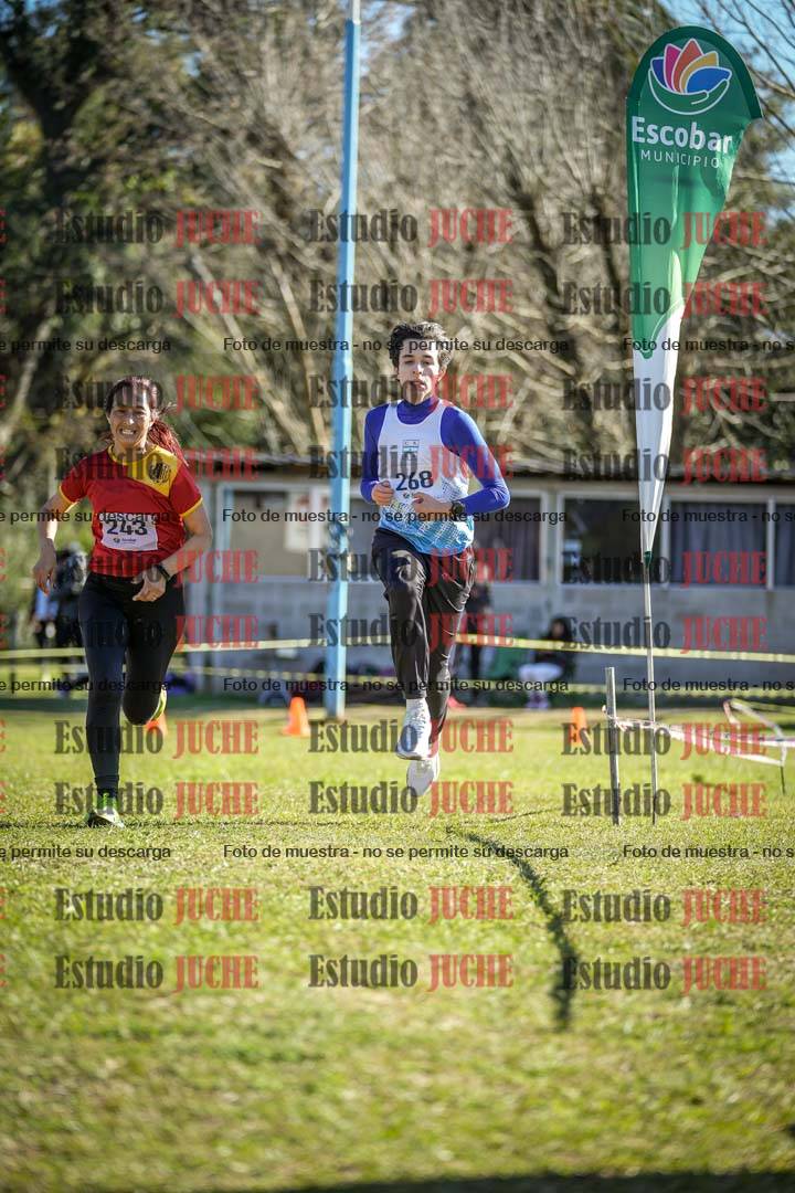 Fotos de la llegada del cross de 6000 m