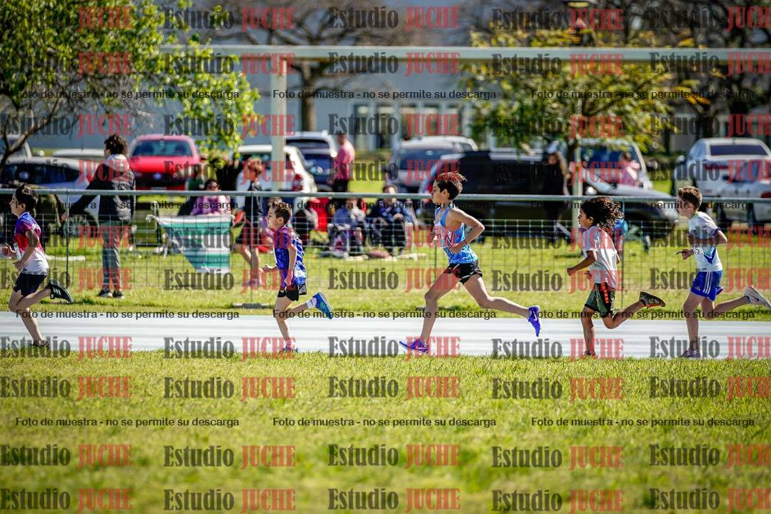 Fotos de los 1000 m llanos de varones