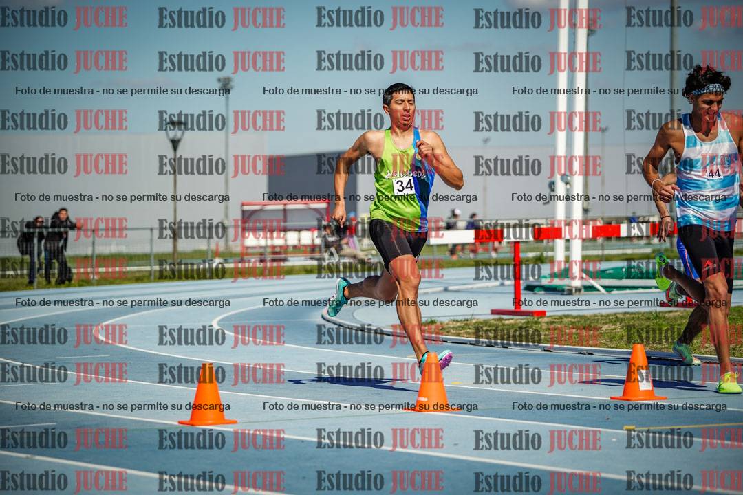 Fotos de los 800 m llanos de varones