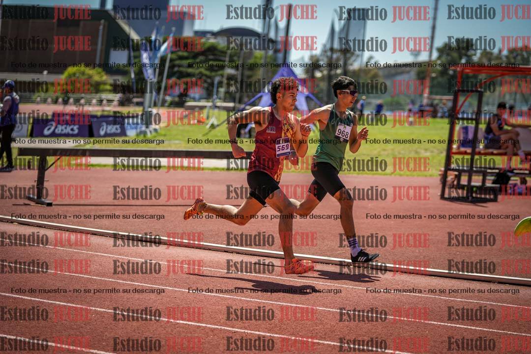 Fotos de los 800 m llanos de varones