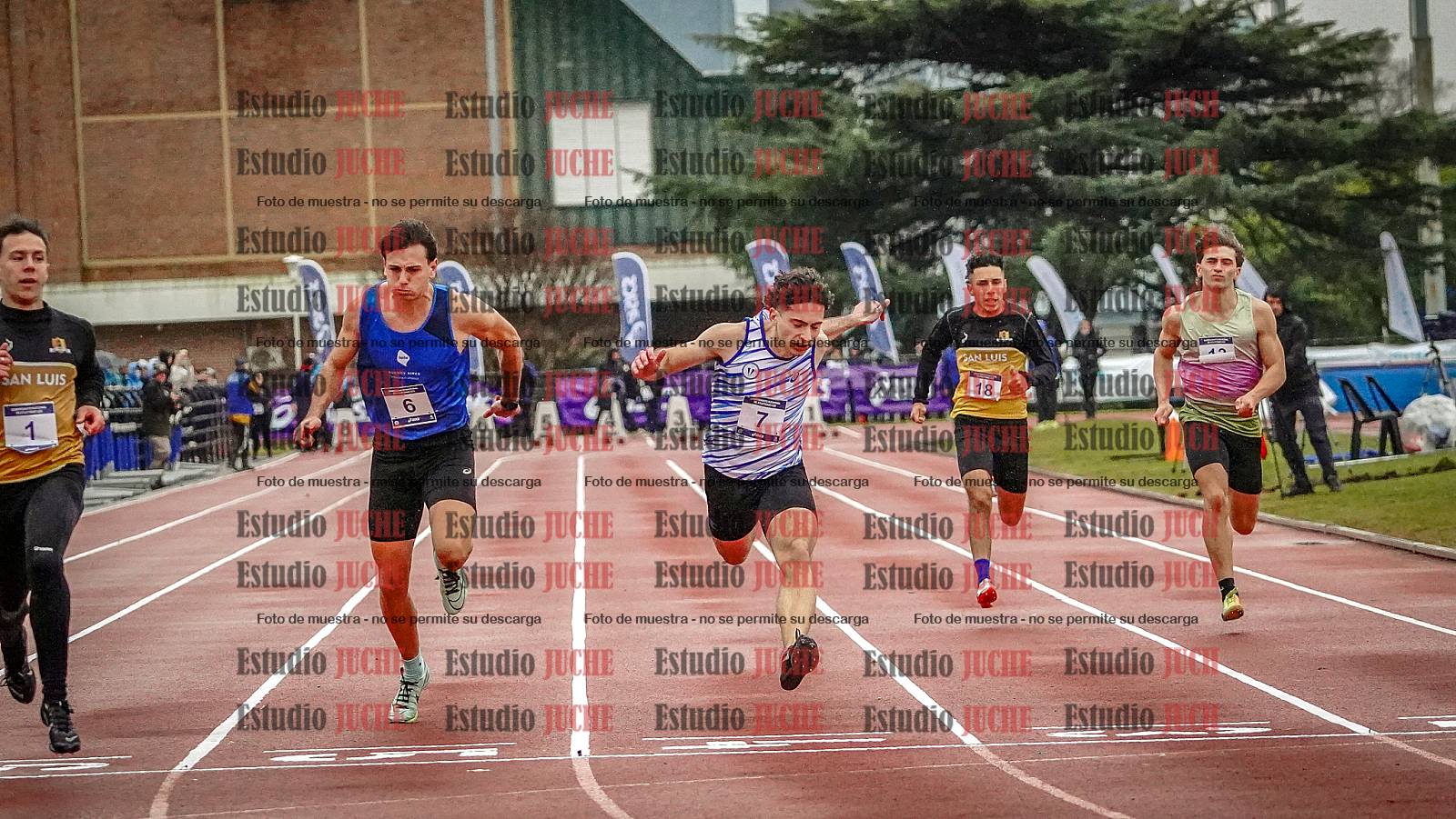 Fotos de los 100 m llanos de varones