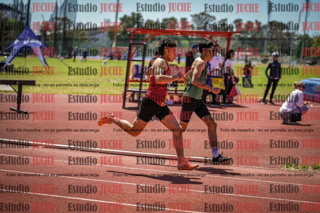 Fotos de los 800 m llanos de varones