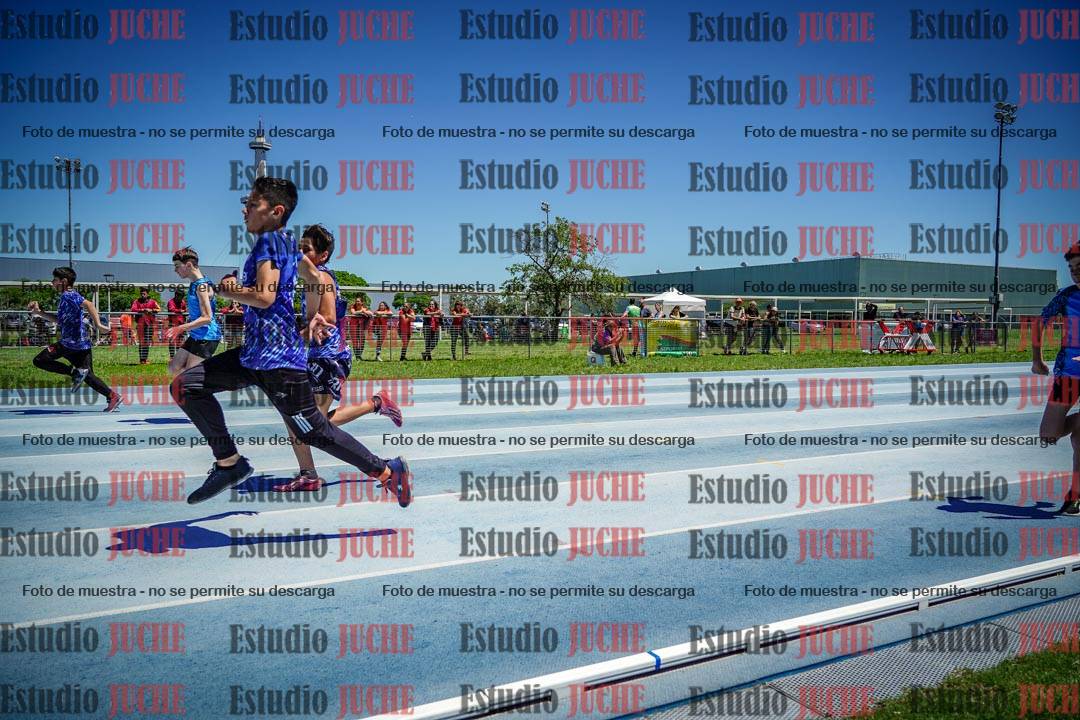 Fotos de los 80 m llanos de varones