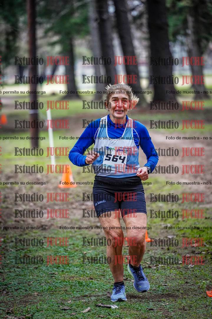 Fotos en el circuito