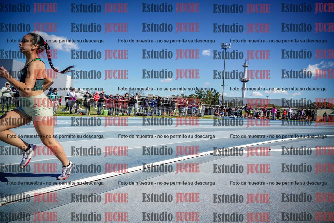 Fotos de los 800 m llanos de mujeres