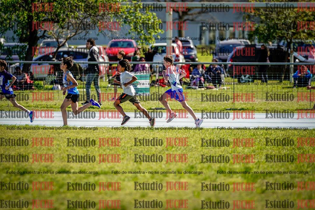 Fotos de los 1000 m llanos de varones
