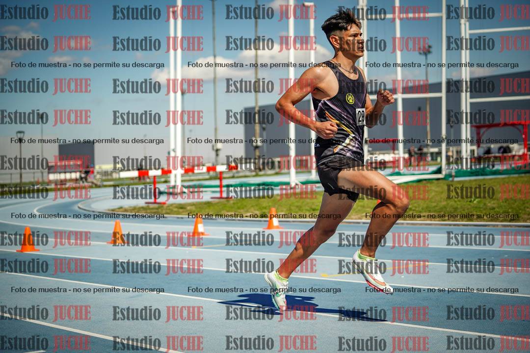 Fotos de los 800 m llanos de varones