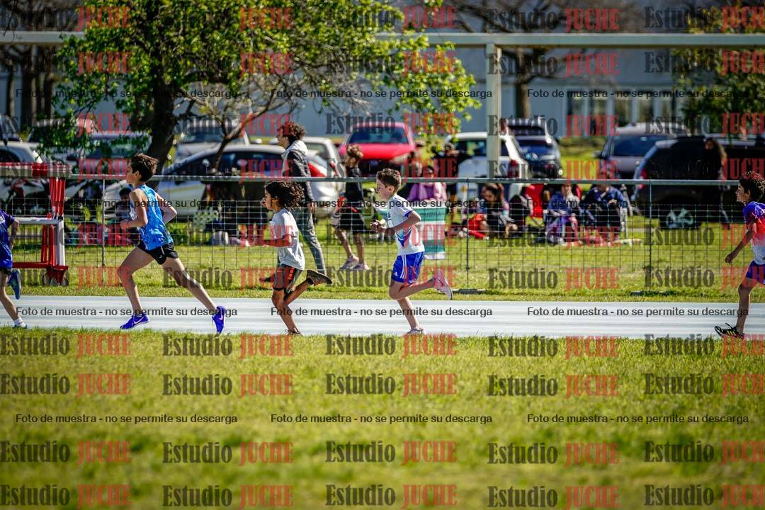Fotos de los 1000 m llanos de varones