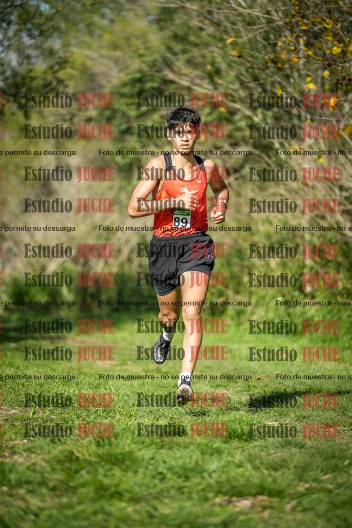 Fotos en el circuito