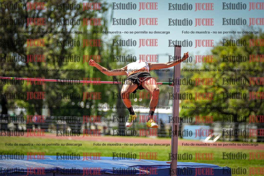Fotos del salto en alto de varones