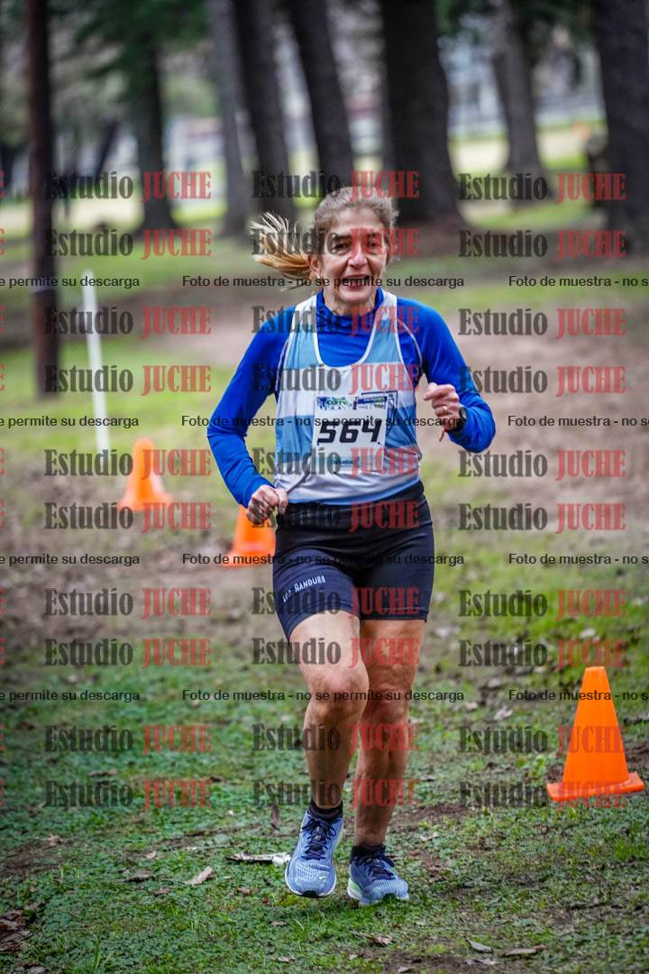 Fotos en el circuito