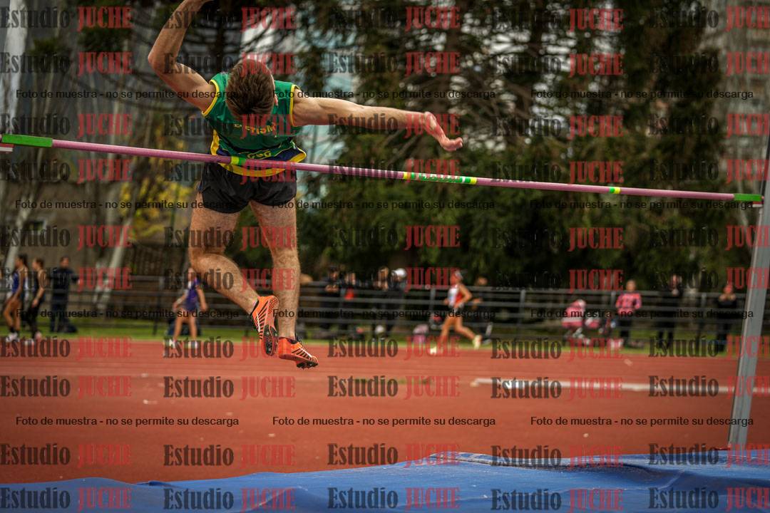 Fotos del salto en alto de varones