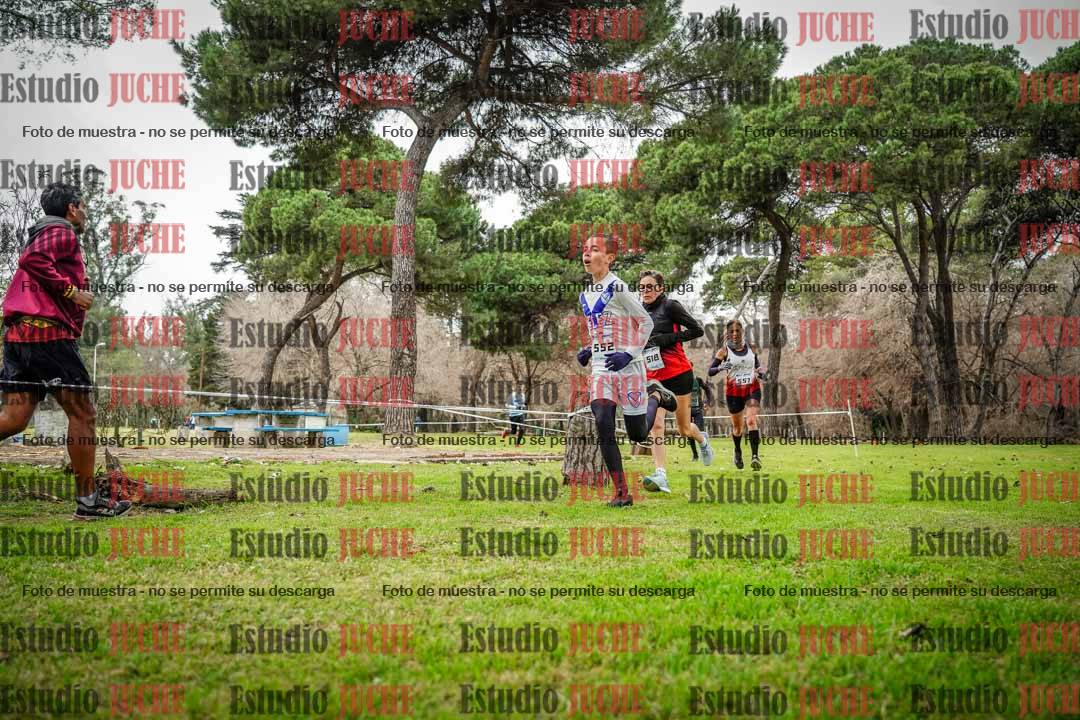 Fotos en el circuito