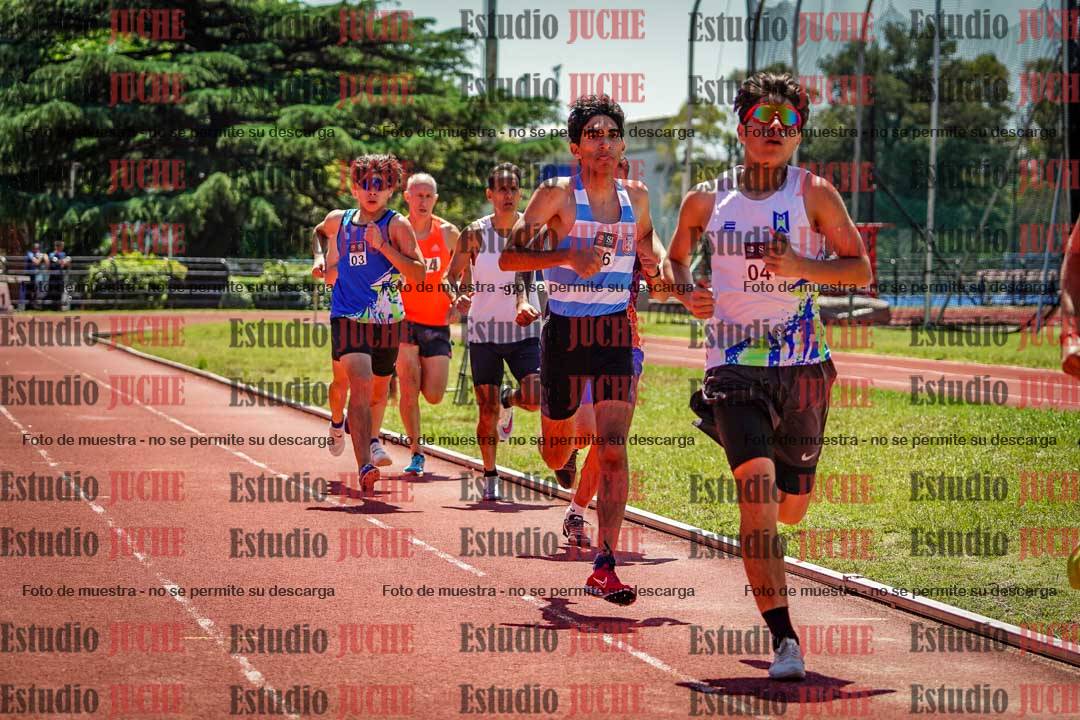 Fotos de los 800 m llanos de varones