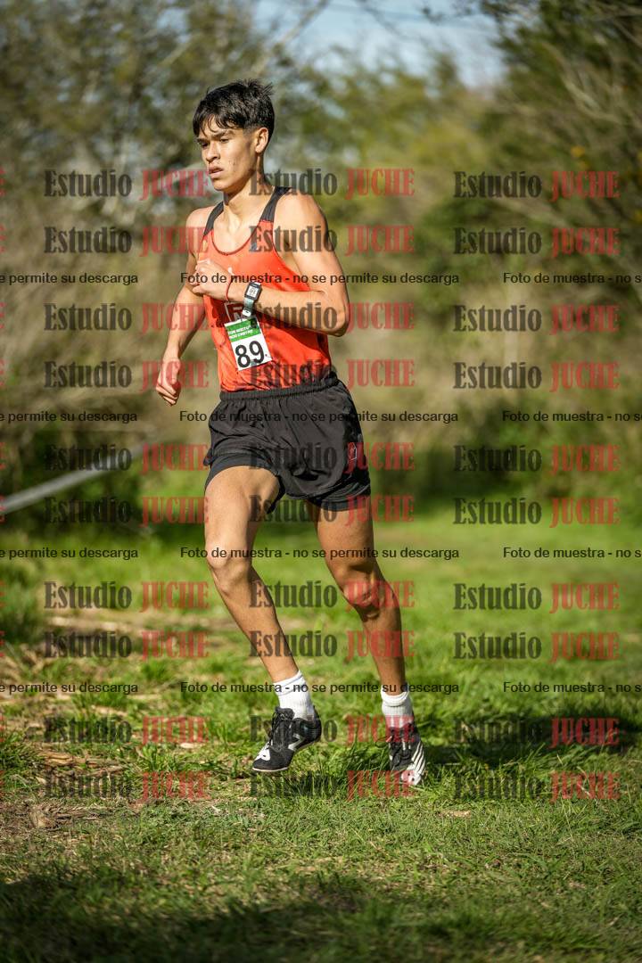 Fotos en el circuito