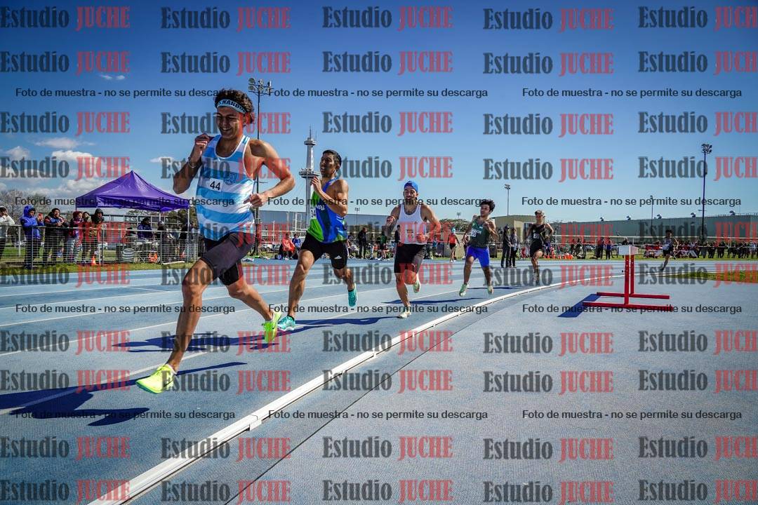 Fotos de los 800 m llanos de varones