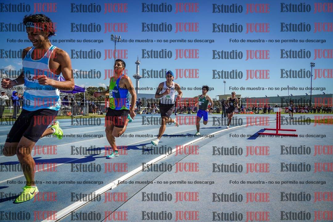 Fotos de los 800 m llanos de varones