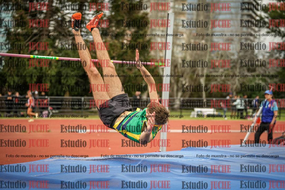 Fotos del salto en alto de varones