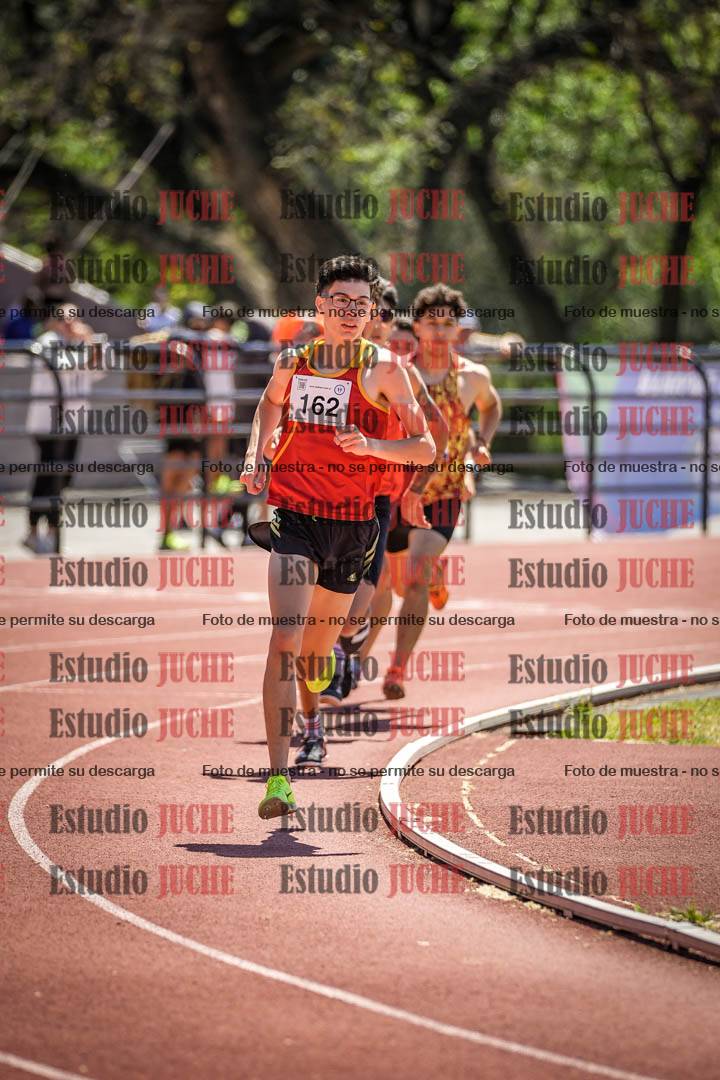 Fotos de los 800 m llanos de varones