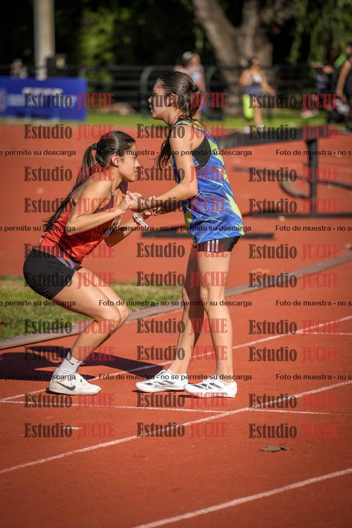 Fotos de los 800 m llanos de mujeres