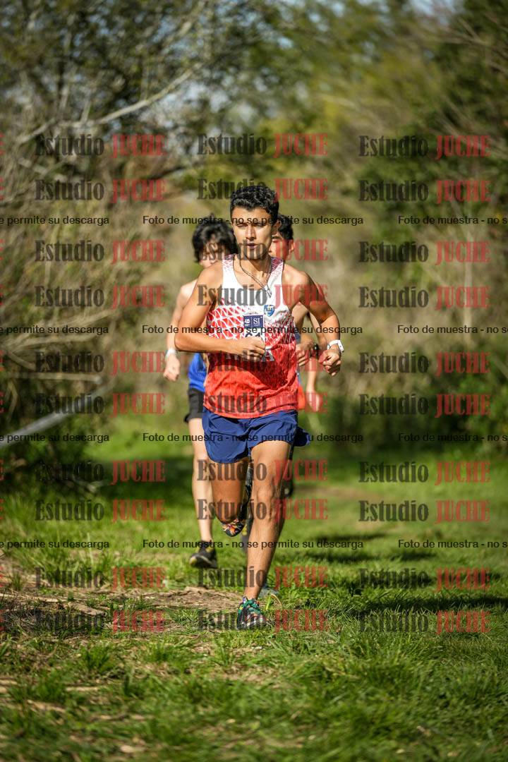 Fotos en el circuito