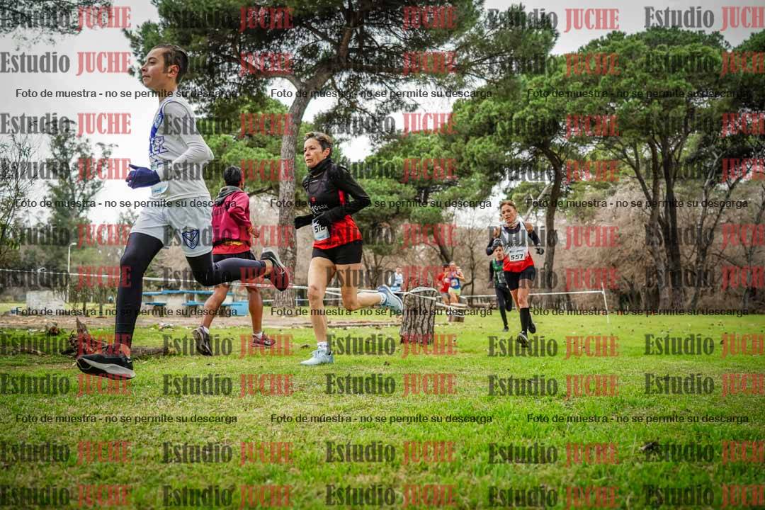 Fotos en el circuito