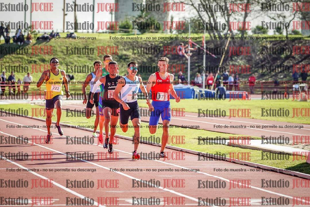 Fotos de los 800 m llanos de varones