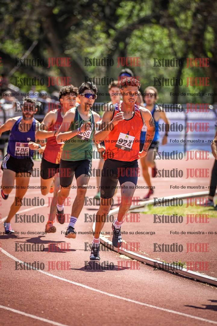Fotos de los 800 m llanos de varones