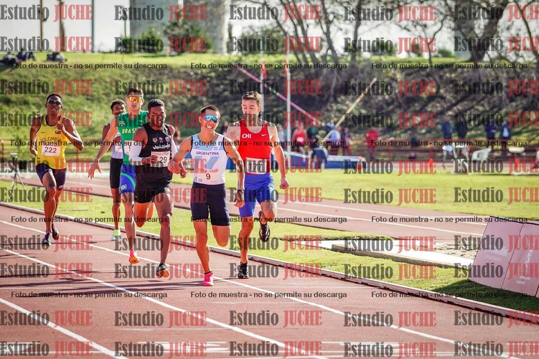 Fotos de los 800 m llanos de varones