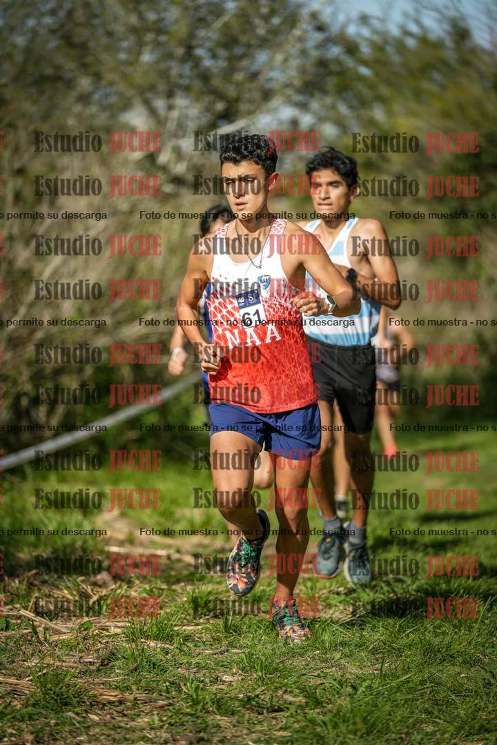 Fotos en el circuito