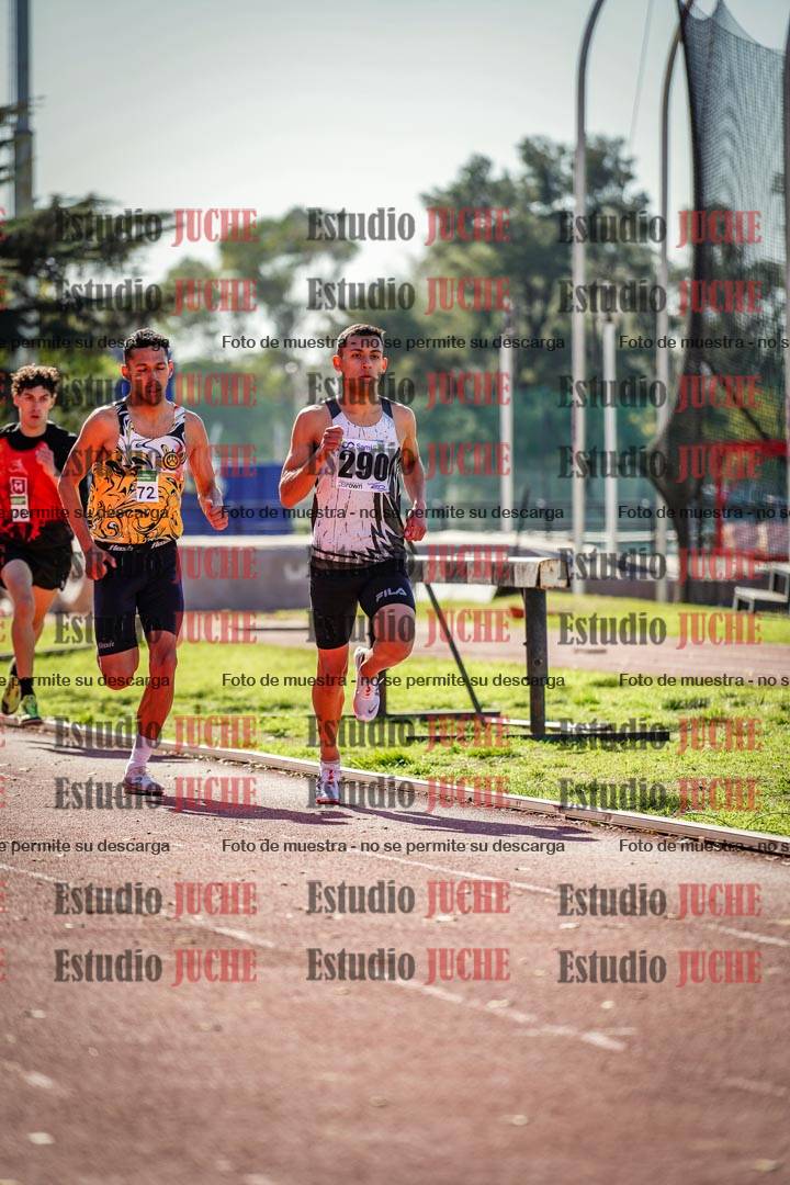 Fotos de los 800 m llanos de varones
