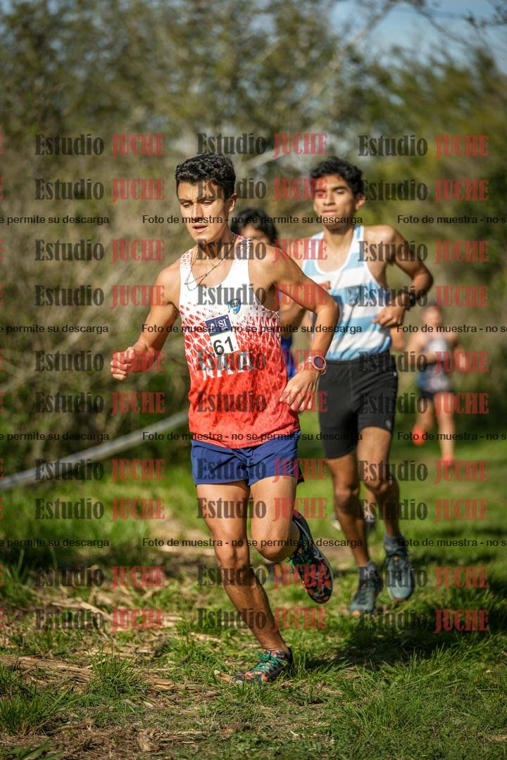 Fotos en el circuito